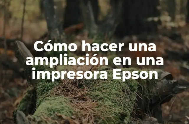 Cómo hacer una ampliación en una impresora Epson