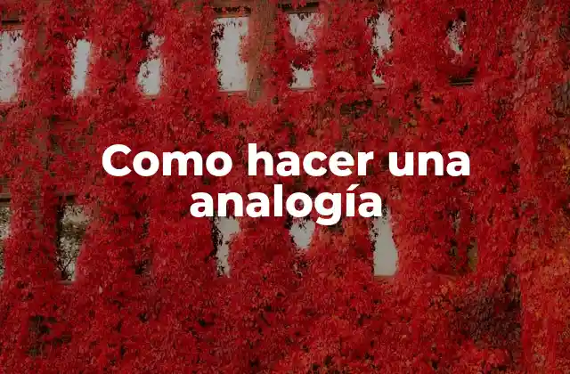 Como Hacer una Analogía