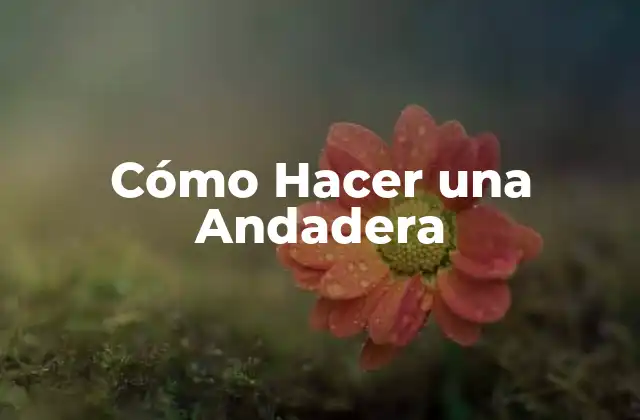 Cómo Hacer una Andadera