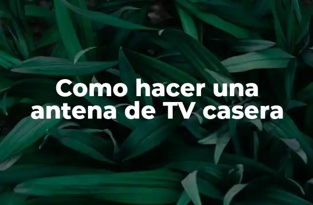 Como Hacer una Antena de Tv Casera