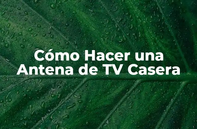 Cómo Hacer una Antena de Tv Casera