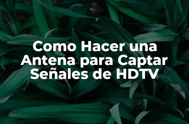 Como Hacer una Antena para Captar Señales de Hdtv