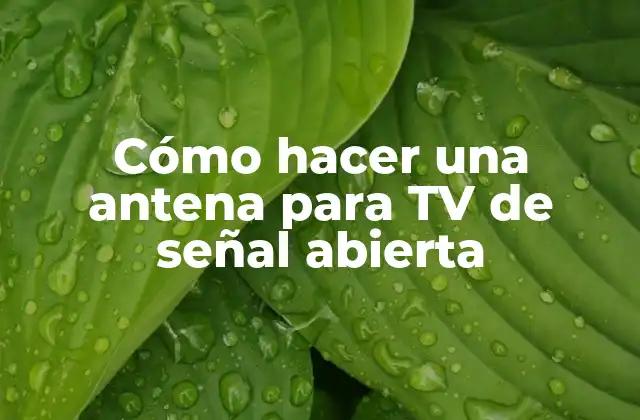 Cómo Hacer una Antena para Tv de Señal Abierta