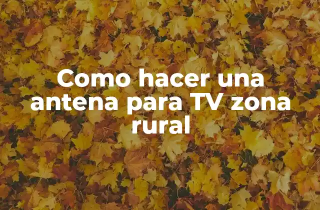 Como Hacer una Antena para Tv Zona Rural