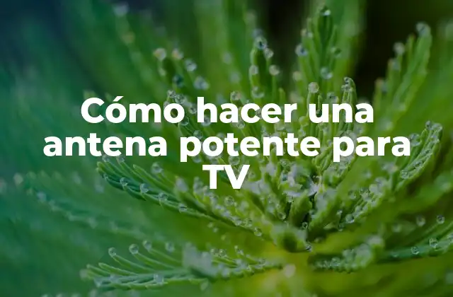 Cómo Hacer una Antena Potente para Tv