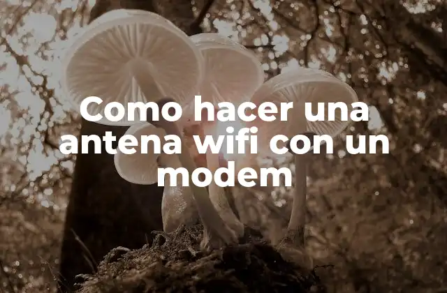 Como Hacer una Antena Wifi con un Modem