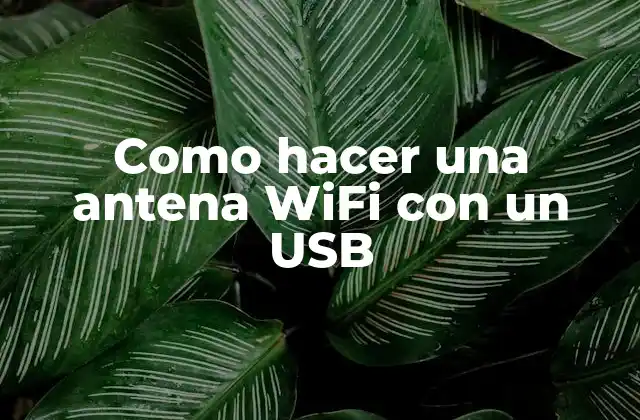 Como Hacer una Antena Wifi con un Usb
