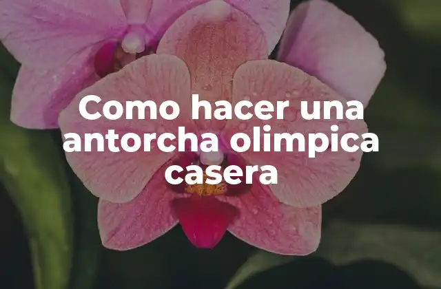 Como Hacer una Antorcha Olimpica Casera