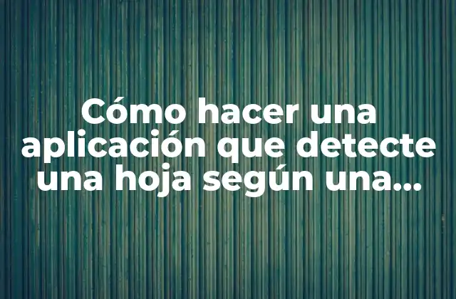 Cómo Hacer una Aplicación que Detecte una Hoja según una Foto