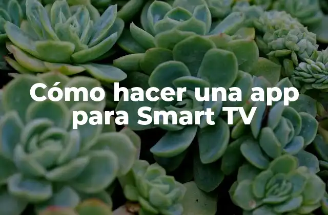 Cómo Hacer una App para Smart Tv