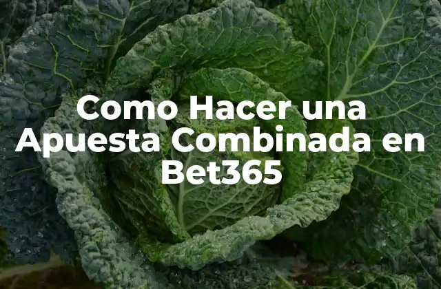 Como Hacer una Apuesta Combinada en Bet365