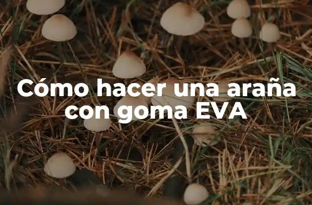 Cómo Hacer una Araña con Goma Eva