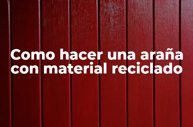 Como Hacer una Araña con Material Reciclado