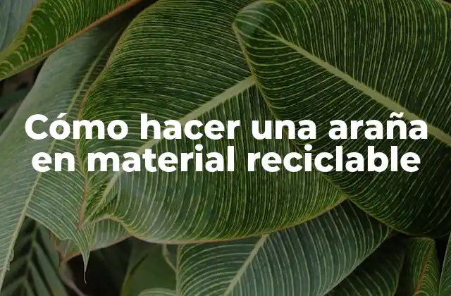 Cómo hacer una araña en material reciclable