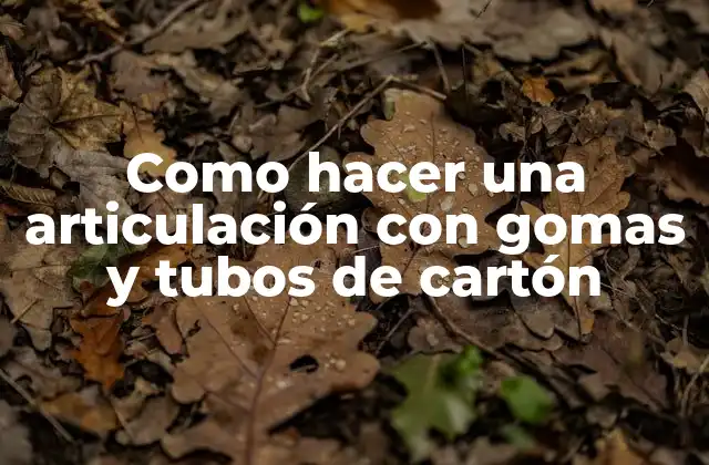 Como Hacer una Articulación con Gomas y Tubos de Cartón