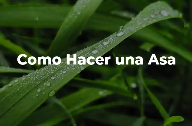 Como Hacer una Asa