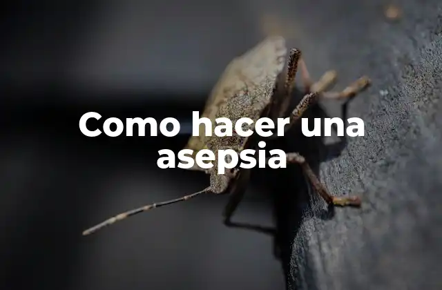 Como Hacer una Asepsia