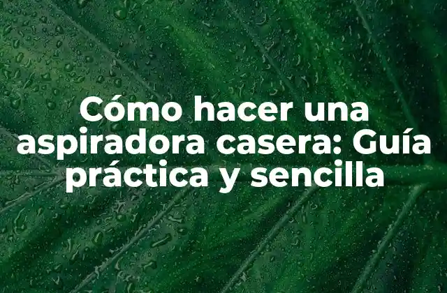 Cómo Hacer una Aspiradora Casera: Guía Práctica y Sencilla