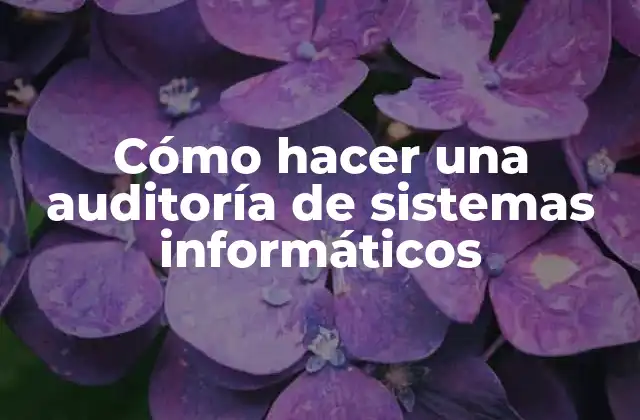 Cómo Hacer una Auditoría de Sistemas Informáticos