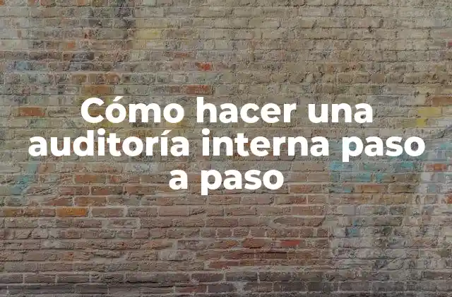 Cómo Hacer una Auditoría Interna Paso a Paso
