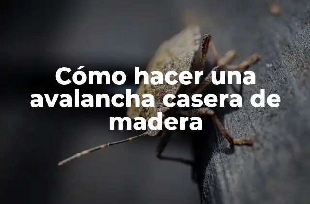 Cómo Hacer una Avalancha Casera de Madera