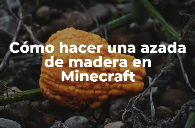 Cómo Hacer una Azada de Madera en Minecraft