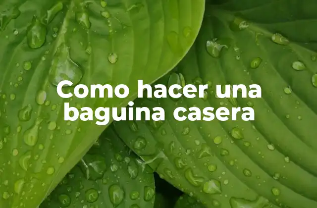 Como Hacer una Baguina Casera