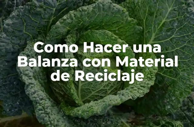 Como Hacer una Balanza con Material de Reciclaje