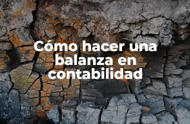 Cómo Hacer una Balanza en Contabilidad