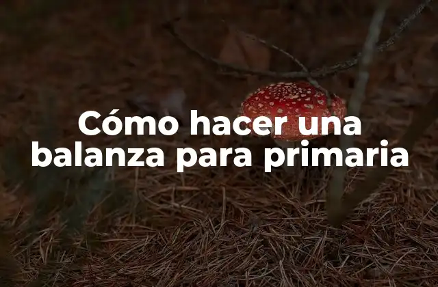 Cómo Hacer una Balanza para Primaria