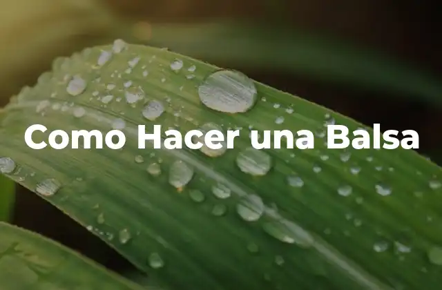 Como Hacer una Balsa