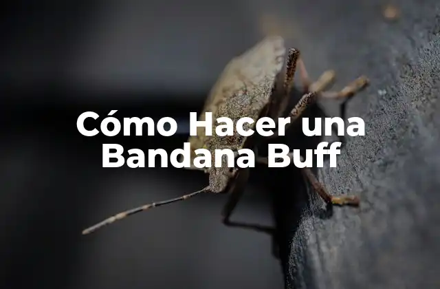 Cómo Hacer una Bandana Buff 2 ¿Qué es una Bandana Buff?