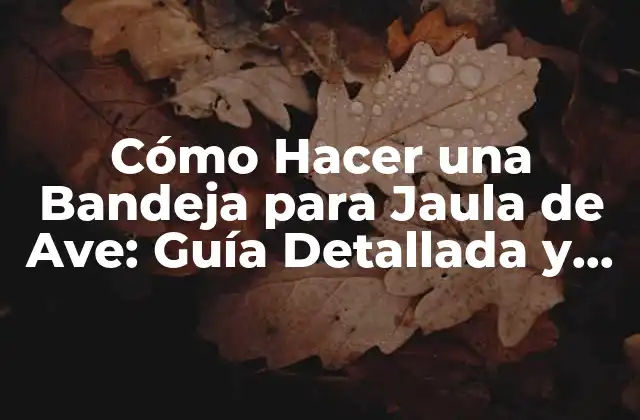 Cómo Hacer una Bandeja para Jaula de Ave: Guía Detallada y Completante