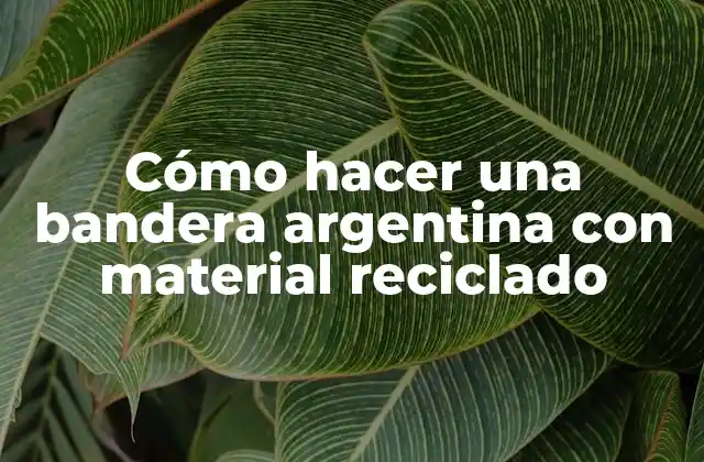 Cómo Hacer una Bandera Argentina con Material Reciclado