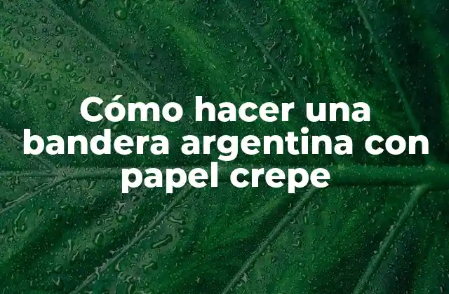 Cómo Hacer una Bandera Argentina con Papel Crepe