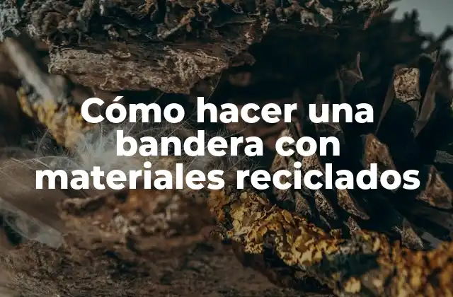 Cómo Hacer una Bandera con Materiales Reciclados