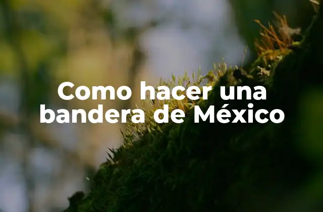 Como Hacer una Bandera de México
