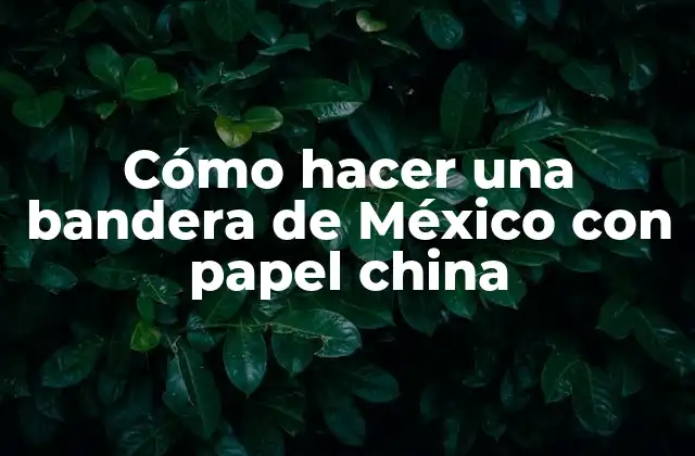 Cómo Hacer una Bandera de México con Papel China