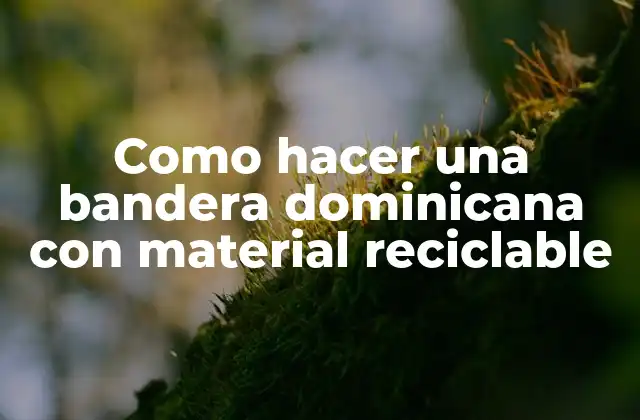 Como Hacer una Bandera Dominicana con Material Reciclable