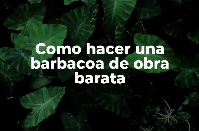 Como Hacer una Barbacoa de Obra Barata