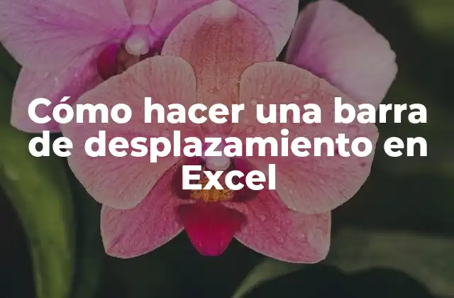 Cómo hacer una barra de desplazamiento en Excel