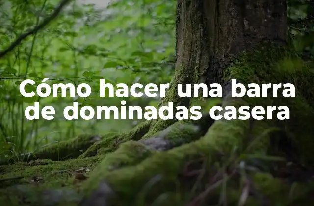 Cómo Hacer una Barra de Dominadas Casera