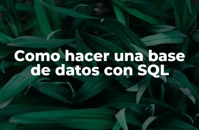 Como Hacer una Base de Datos con Sql