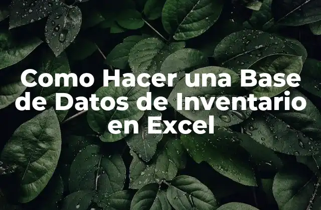 Como Hacer una Base de Datos de Inventario en Excel 2 ¿Qué es una Base de Datos de Inventario en Excel?