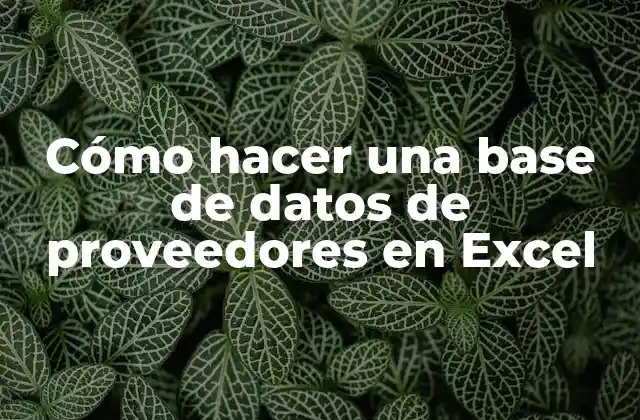 Cómo Hacer una Base de Datos de Proveedores en Excel