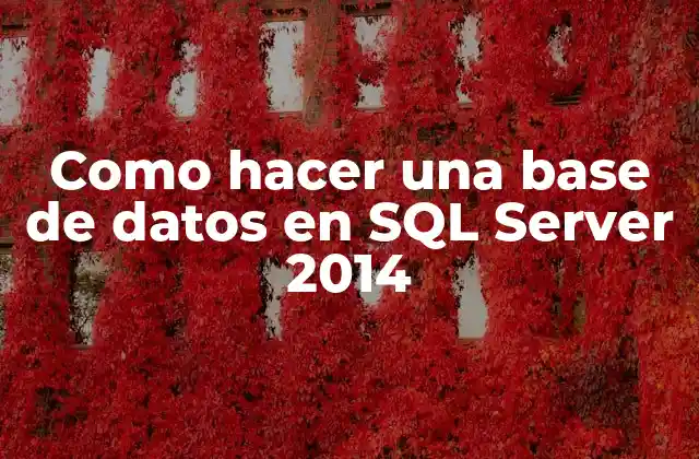 Como Hacer una Base de Datos en Sql Server 2014