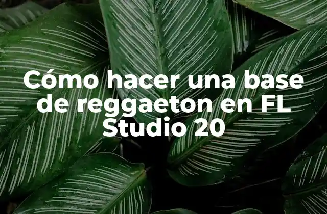Cómo Hacer una Base de Reggaeton en Fl Studio 20 2 ¿Qué es una base de reggaeton y para qué sirve?