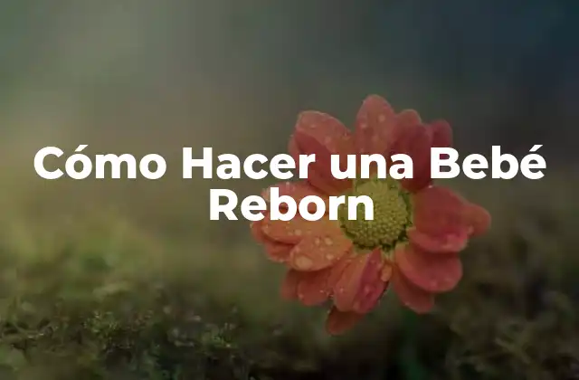 Cómo Hacer una Bebé Reborn