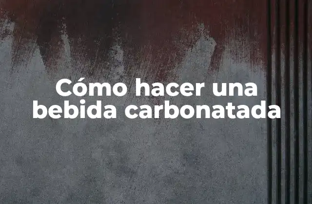 Cómo Hacer una Bebida Carbonatada