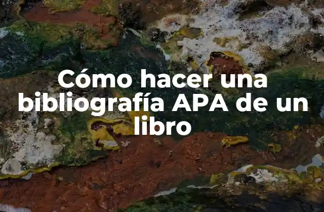¿Qué es una bibliografía APA y para qué sirve?